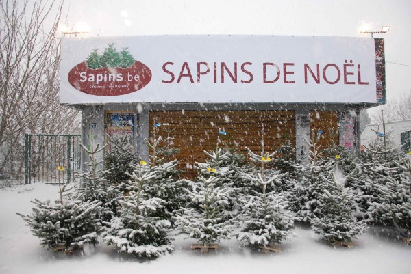 Magasin Sapins.be devanture enneigée